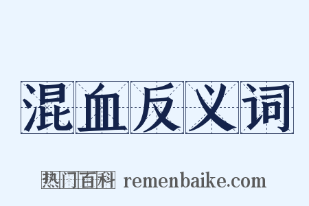 混血反义词是什么意思的图片
